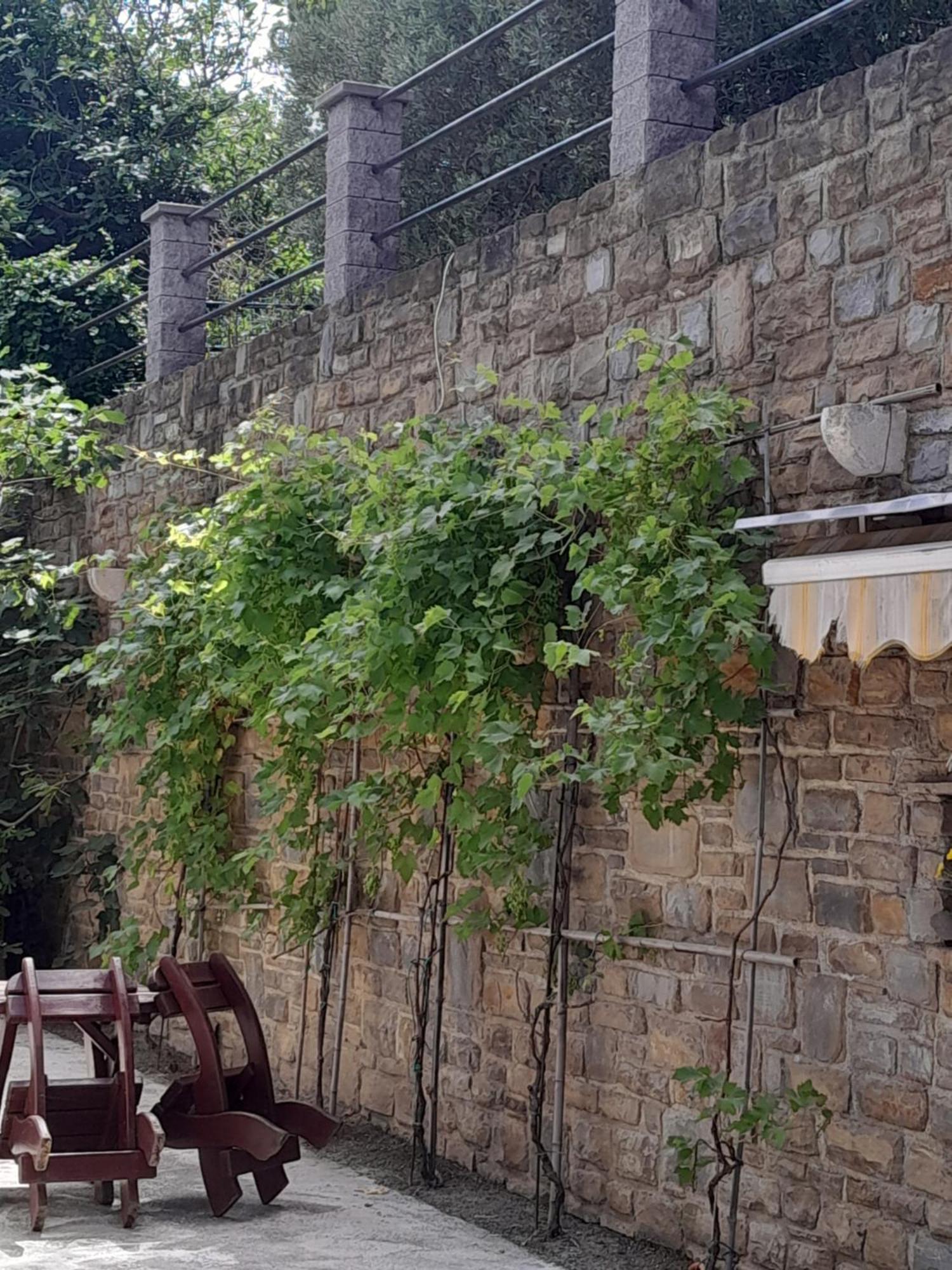 Apartmaji Strunjan Exterior foto